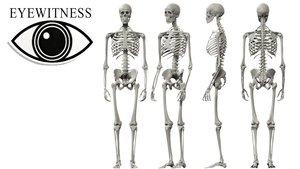 Eyewitness Skeleton