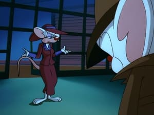 Pinky & der Brain: 3×5