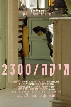 Poster Mika 2300 (2021)