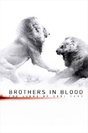 Poster Brothers in Blood: The Lions of Sabi Sand 2015