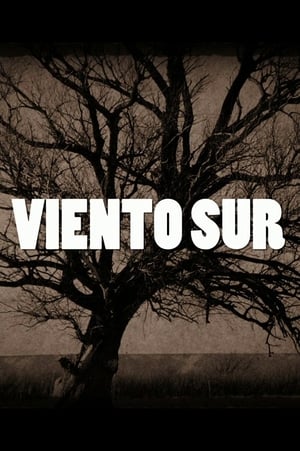 Image Viento Sur