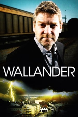 Poster Wallander 4. sezóna Lekce lásky 2016