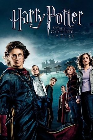 Harry Potter e o Cálice de Fogo