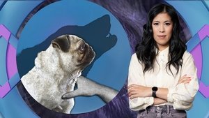 Episode 3 | StreamHub