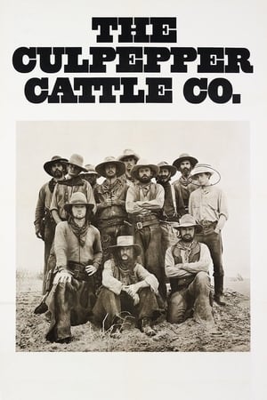 Assistir The Culpepper Cattle Co. Online Grátis