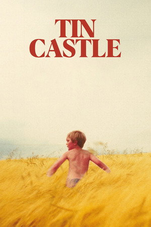 Tin Castle