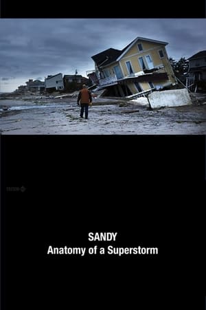 Poster Sandy: Anatomy of a Superstorm (2012)