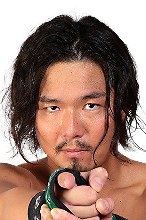 Lee Jae-kyung portrait