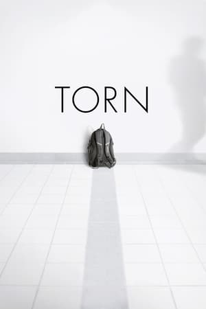 Torn 2013