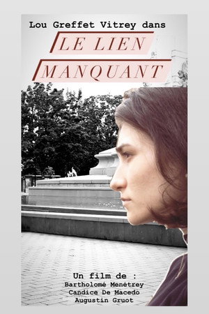 Le lien manquant 4
