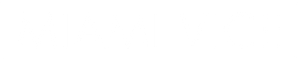 Miami Vice — Logos 5