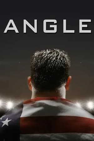 Poster di Angle