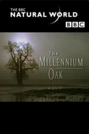 Poster The Millennium Oak 1999