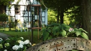 The mill garden