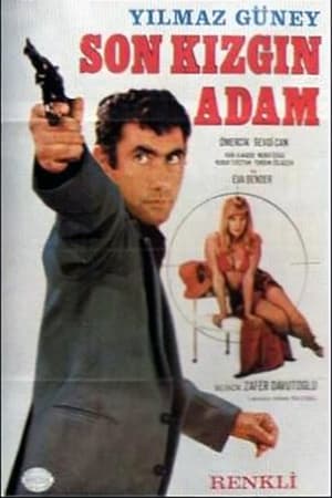 Poster Son Kızgın Adam (1970)