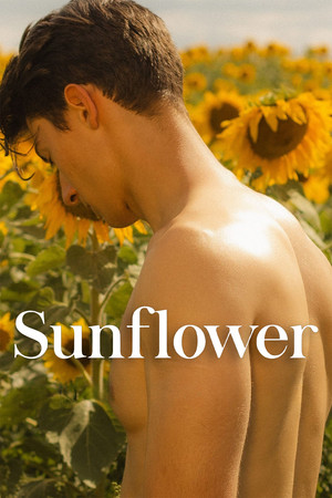 Sunflower 25