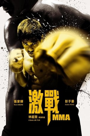 Poster 激戰 2013