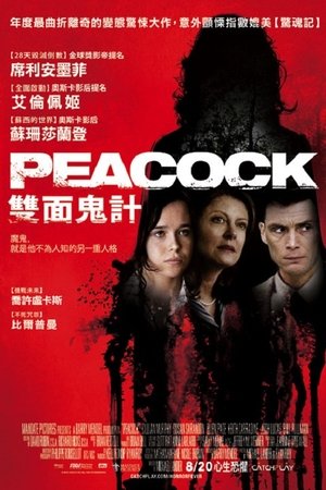 Image 孔雀镇