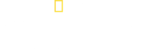 Sabor Caseiro com Antoni Porowski
