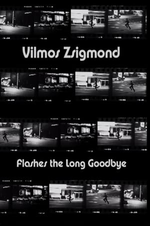 Poster Vilmos Zsigmond Flashes 'The Long Goodbye' 2002