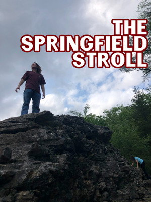 The Springfield Stroll 5