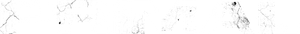 Primal