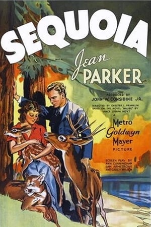 Poster Sequoia 1935