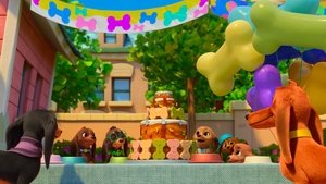 Reunión de cachorros / ¡Feliz cumple-guau!