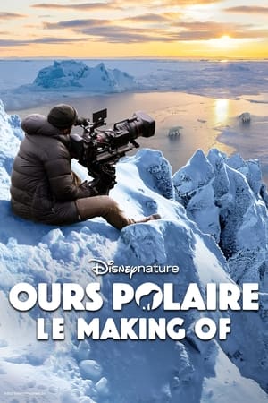 Image Ours Polaire : Le Making Of