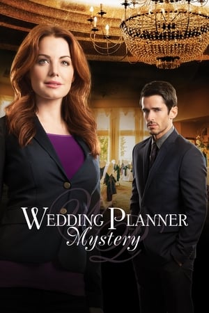Poster Wedding Planner Mystery 2014