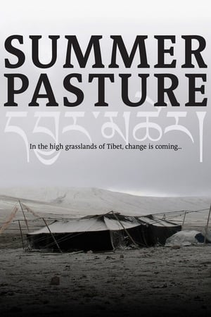 Poster Summer Pasture 2011