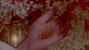 what does it feel like to live inside a pomegranate?