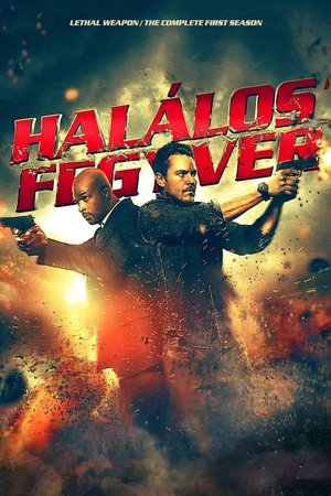 Poster Halálos fegyver 3. évad 2018