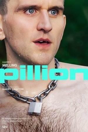 Pillion