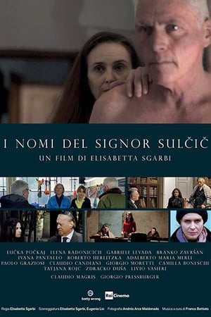 Poster The Names of Mr. Sulcic (2019)