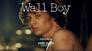 Wall Boy