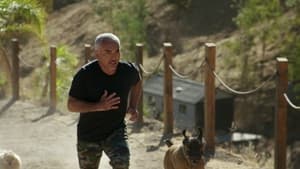 Cesar Millan: Better Human, Better Dog Canine Quarantine