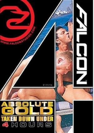 Poster Absolute Gold: Taken Down Under: Falcon Four Hours (2011)