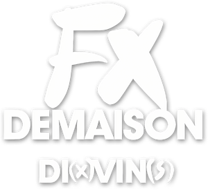 Francois-Xavier Demaison : Di(x)vin(s)
