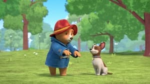 The Adventures of Paddington Paddington Meets Lucky