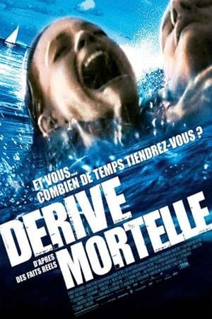 Poster Dérive Mortelle 2006