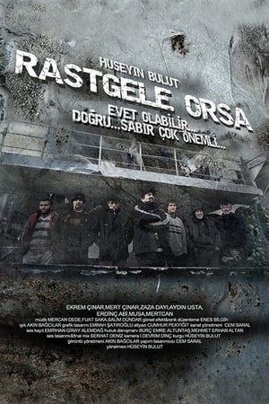 Poster Rastgele Orsa (2012)