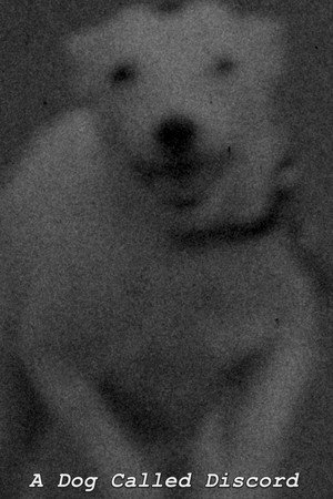 A Dog Called Discord