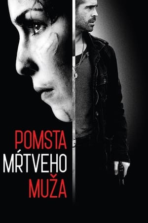 Poster Pomsta mŕtveho muža 2013