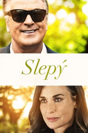 Poster Slepý 2017