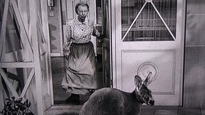 The Beverly Hillbillies The Giant Jackrabbit