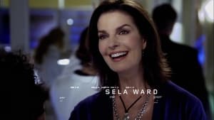 CSI: NY: 7×12