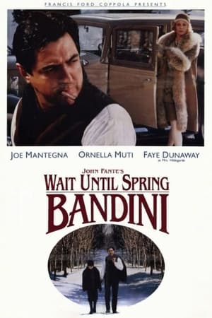 Poster Bandini 1989