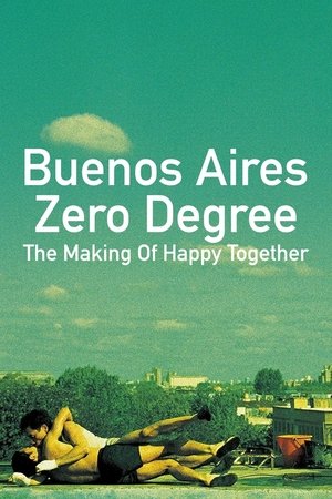 Buenos Aires Zero Degree: The Making of Happy Together poster