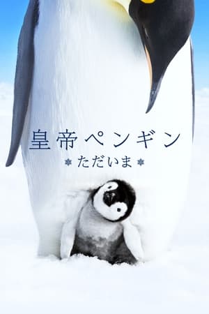 Image 皇帝ペンギン ただいま